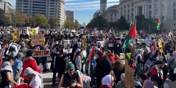 对于成千上万涌向华盛顿支持巴勒斯坦人的人来说，“距离不重要”:“这令人惊叹，令人惊叹”
