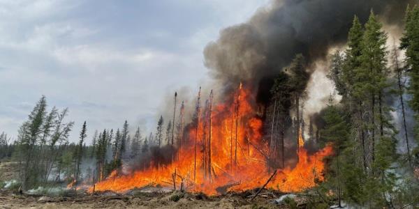 一位将森林大火归咎于政府的阴谋论者承认，14起火灾是他自己引发的